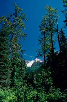 Vista de una cumbre en las Montañas Rocosas
