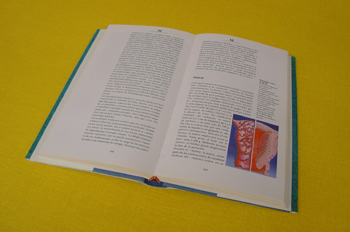 Enciclopedia femenina