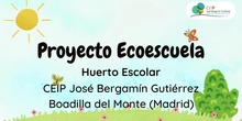 Proyecto Ecoescuelas (Huerto)