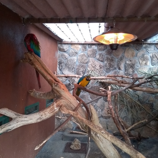 Granja de los Cuentos Infantiles I 38