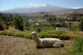 Volcán Misti en Arequipa, Perú