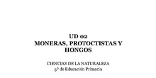 UD02 - Moneras, Protoctistas y Hongos