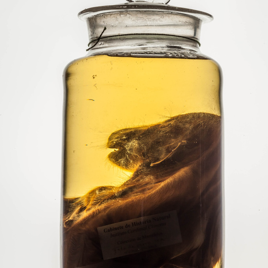 IES_CARDENALCISNEROS_CIENCIASNATURALES_297