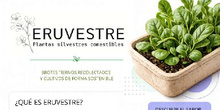 Eruvestre - Roll Up