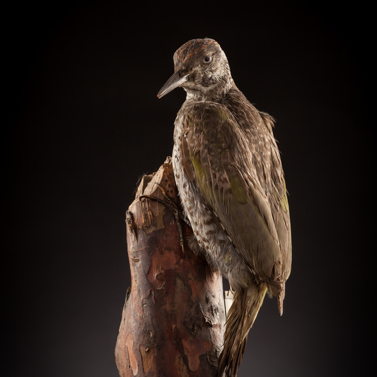 IES_CERVANTES_BIOLOGIA_024