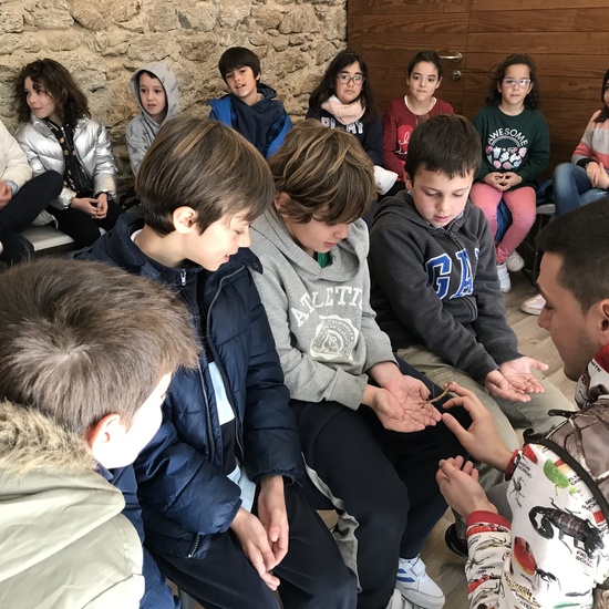 2020_02_27_3º visita Insectpark (3)_CEIP FDLR_Las Rozas 17