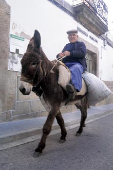 Lugareño en burro - Alcántara, Cáceres
