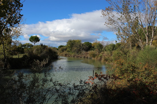 Julio Sánchez Blázquez mel foto 3 concurso fotografia Ies Satafi