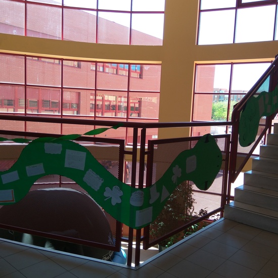 SEMANA DE PROYECTOS IRLANDA 16