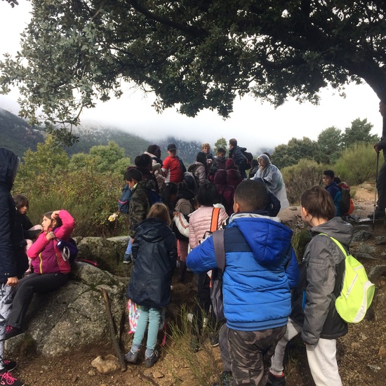 Excursión de tres días a Cercedilla 5º y 6º 12