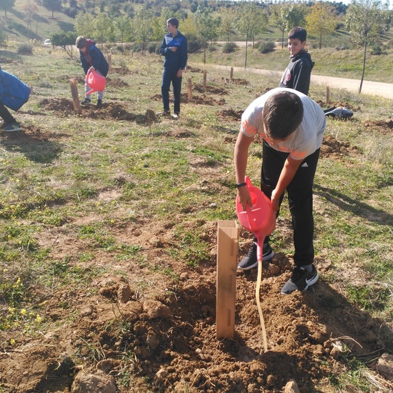 Plantación en el parque forestal de Valdebebas 2019 9