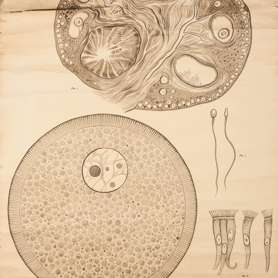 IES_RAMIRODEMAEZTU_BIOLOGIA_008