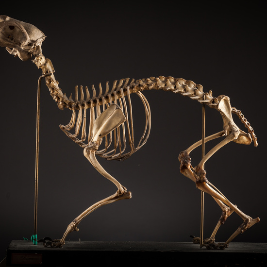 IES_SANISIDRO_BIOLOGIA_123