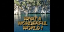 What a wonderful World