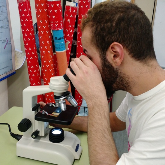 Usando el microscopio 9