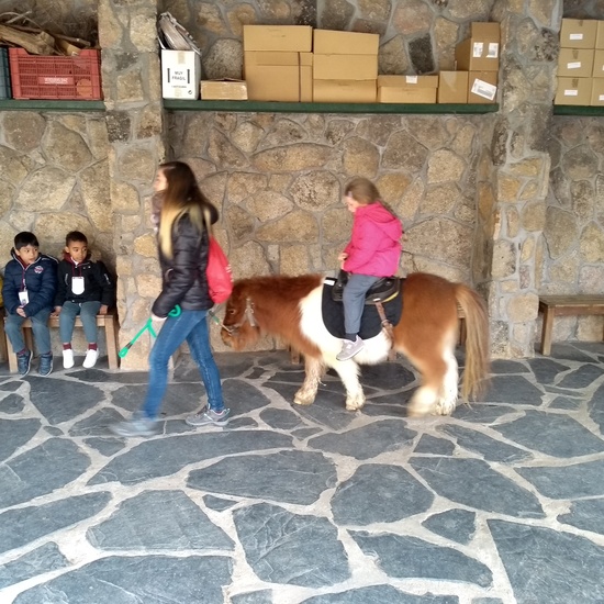 Granja de los Cuentos Infantiles II 34