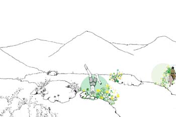 Cap. XXV. Don Quijote haciendo penitencia en Sierra Morena