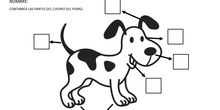 Partes del cuerpo del perro