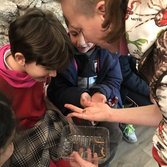 2020_02_27_3º visita Insectpark (4)_CEIP FDLR_Las Rozas 18