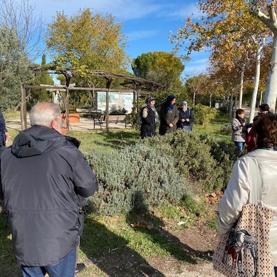 12/11/2019_Polvoranca 14