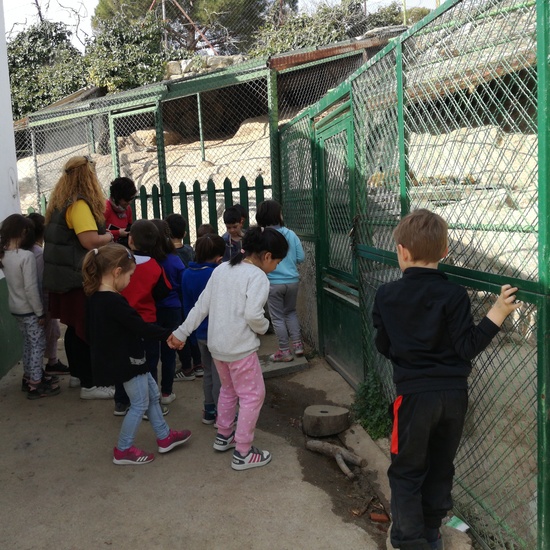 Infantil en la granja 13