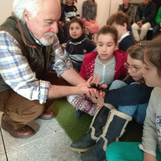 2018_03_16_Tercero visita el Insect Park_CEIP FDLR_Las Rozas 11