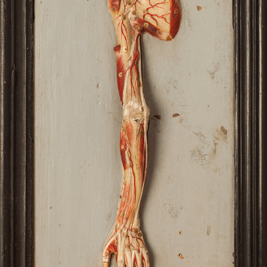 IES_SANISIDRO_BIOLOGIA_343