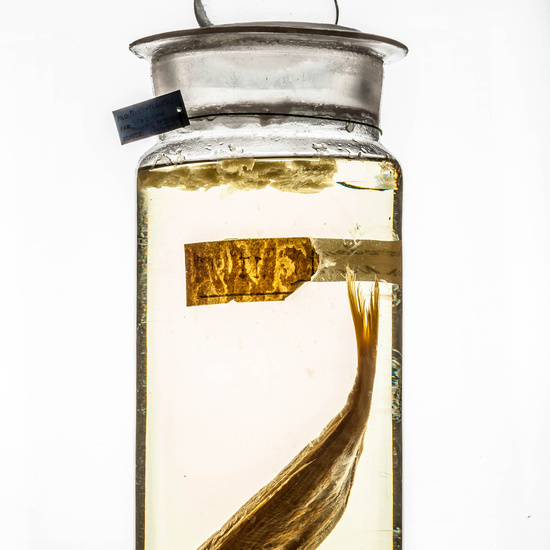 IES_CARDENALCISNEROS_CIENCIASNATURALES_387