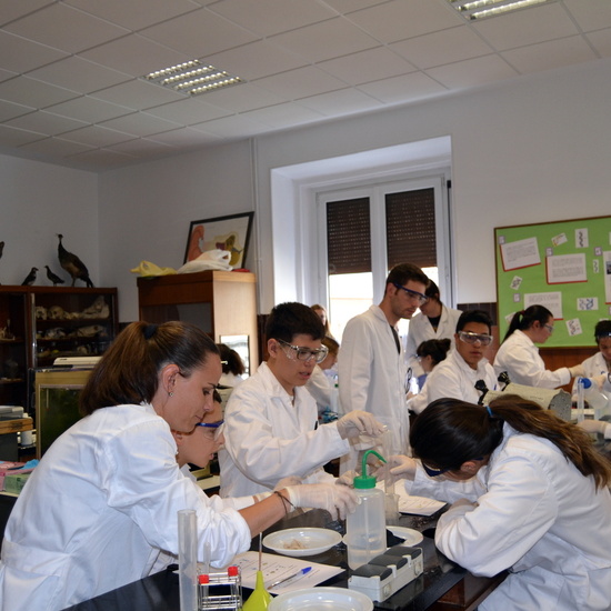 Proyecto de Aprendizaje y Servicio 28