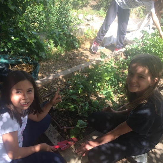 2019_05_Los alumnos de 4º en el Huerto_CEIP FDLR_Las Rozas 20