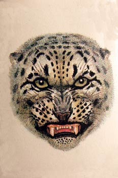 Pantera de las nieves