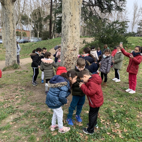 Excursión al Aula de la Casa de Campo 1ºA 2020 3