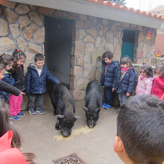 Granja Escuela Educación Infantil Curso 2017-18 19