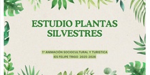 Plantas silvestres comestibles