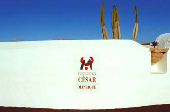 Entrada Fundación César Manrique