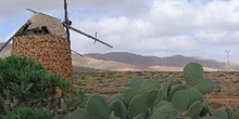 Molino, Canarias