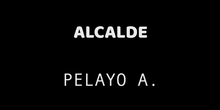 02-Alcalde Pelayo A. 2020