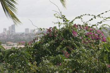Vistas de Recife desde Olinda, Pernambuco, Brasil