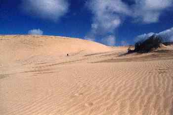Dunas en Manawatu, Nueva Zelanda
