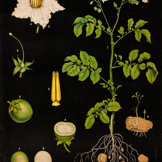 IES_LOPEDEVEGA_CIENCIASNATURALES_010