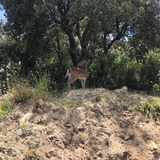 Sendero Vivo 2019 10