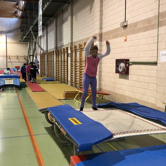 Gimnasia de trampolín 2 1