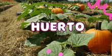 HUERTO ESCOLAR