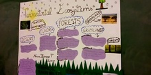 Ecosystems Posters