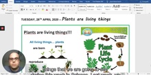 Learn about plants (Primary 1st cycle)