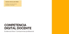 Competencia Digital Docente - B2