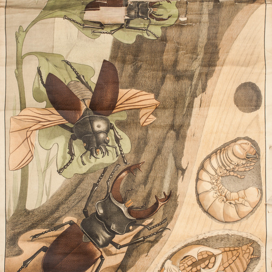 IES_RAMIRODEMAEZTU_BIOLOGIA_010