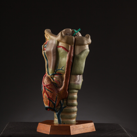 IES_SANISIDRO_BIOLOGIA_177