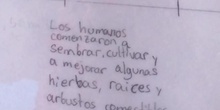 PRIMARIA 6º - EL NEOLÌTICO - CIENCIAS SOCIALES - FORMACIÓN