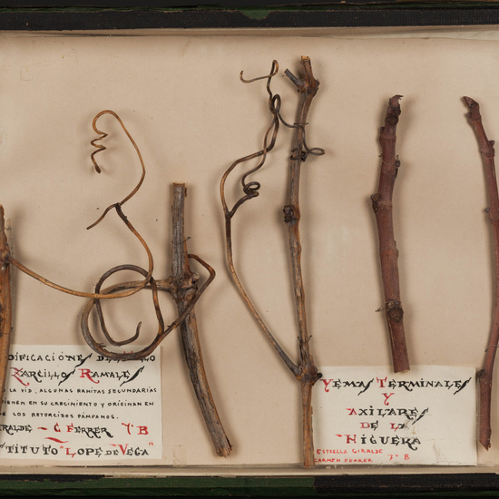 IES_LOPEDEVEGA_TECNOLOGIA_092